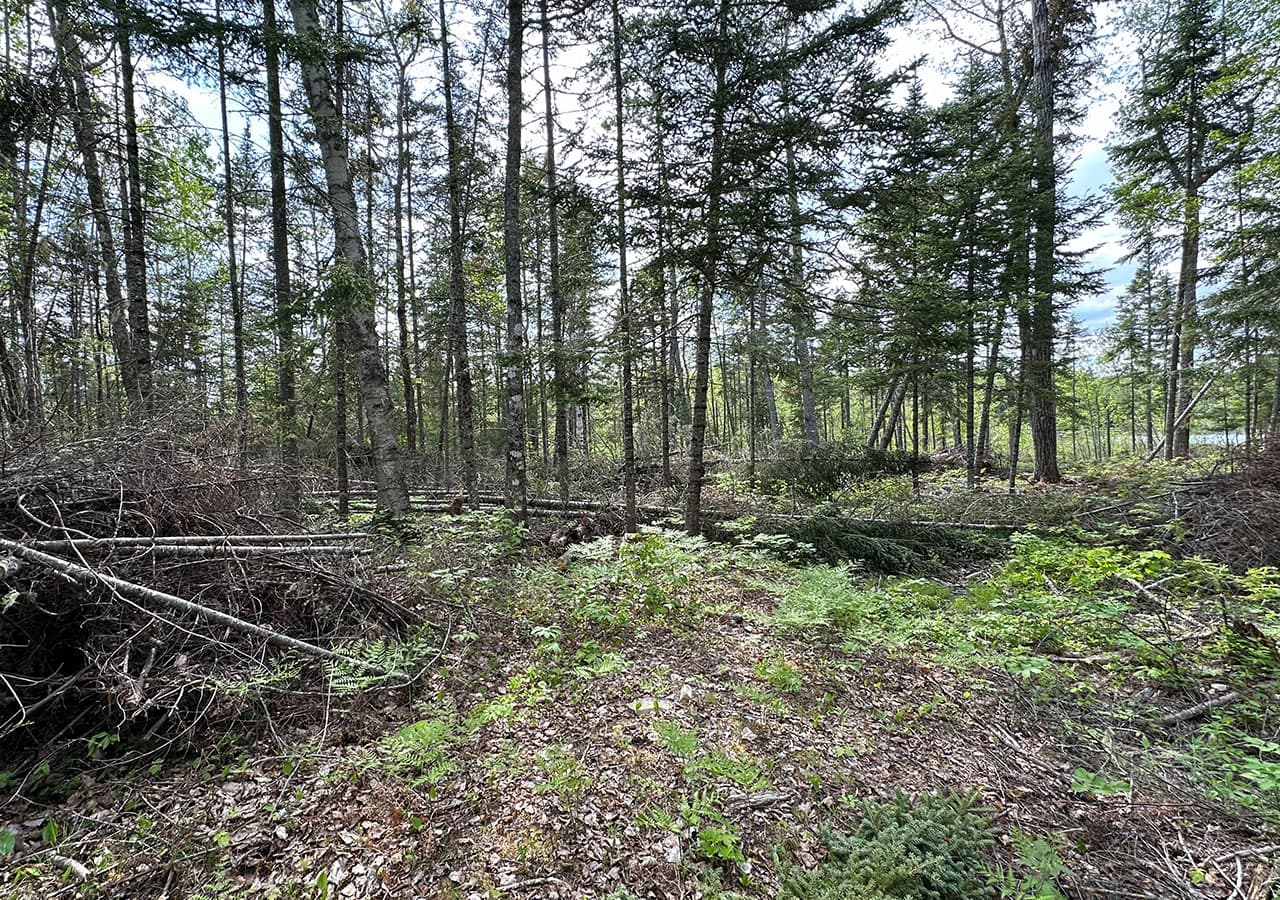 Lakefront lot from the water