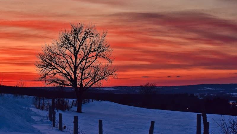 Springhill Construction Limited