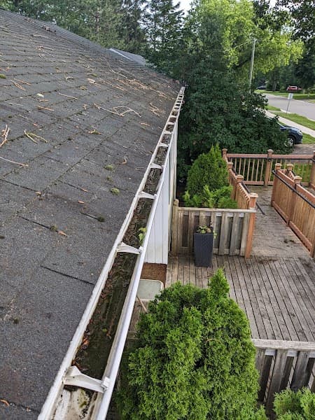 Pardy's Gutter and Window Cleaning Services